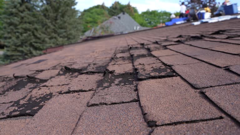 Best Chimney Flashing Repair  in Lawrenceburg, IN